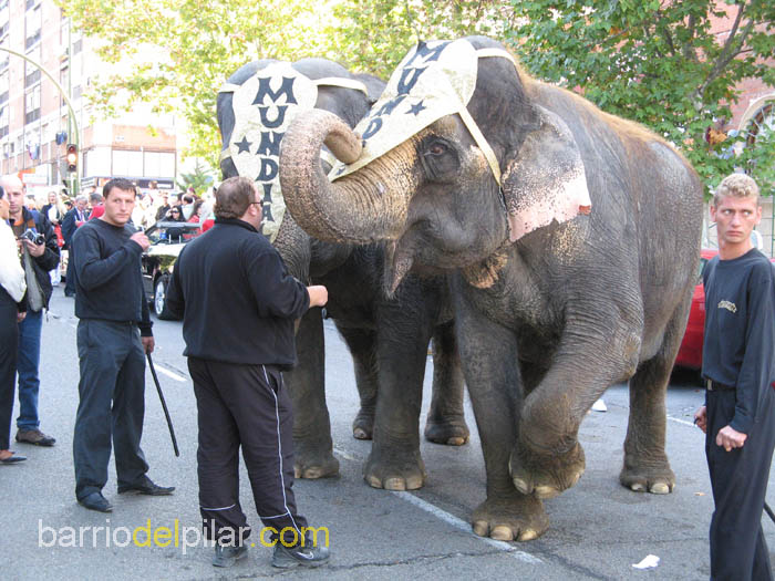 Elefantes del Gran Circo Mundial